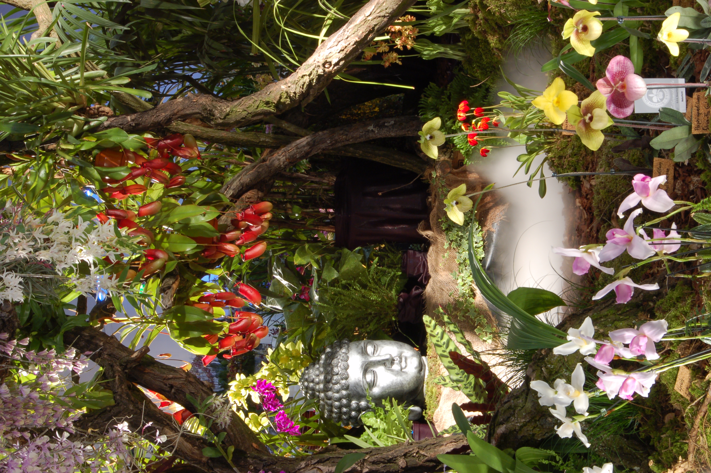 20190920183631_20190917213424_ausschnitt-des-stands-der-fa-currlin-orchideen_31469427822_o.jpg