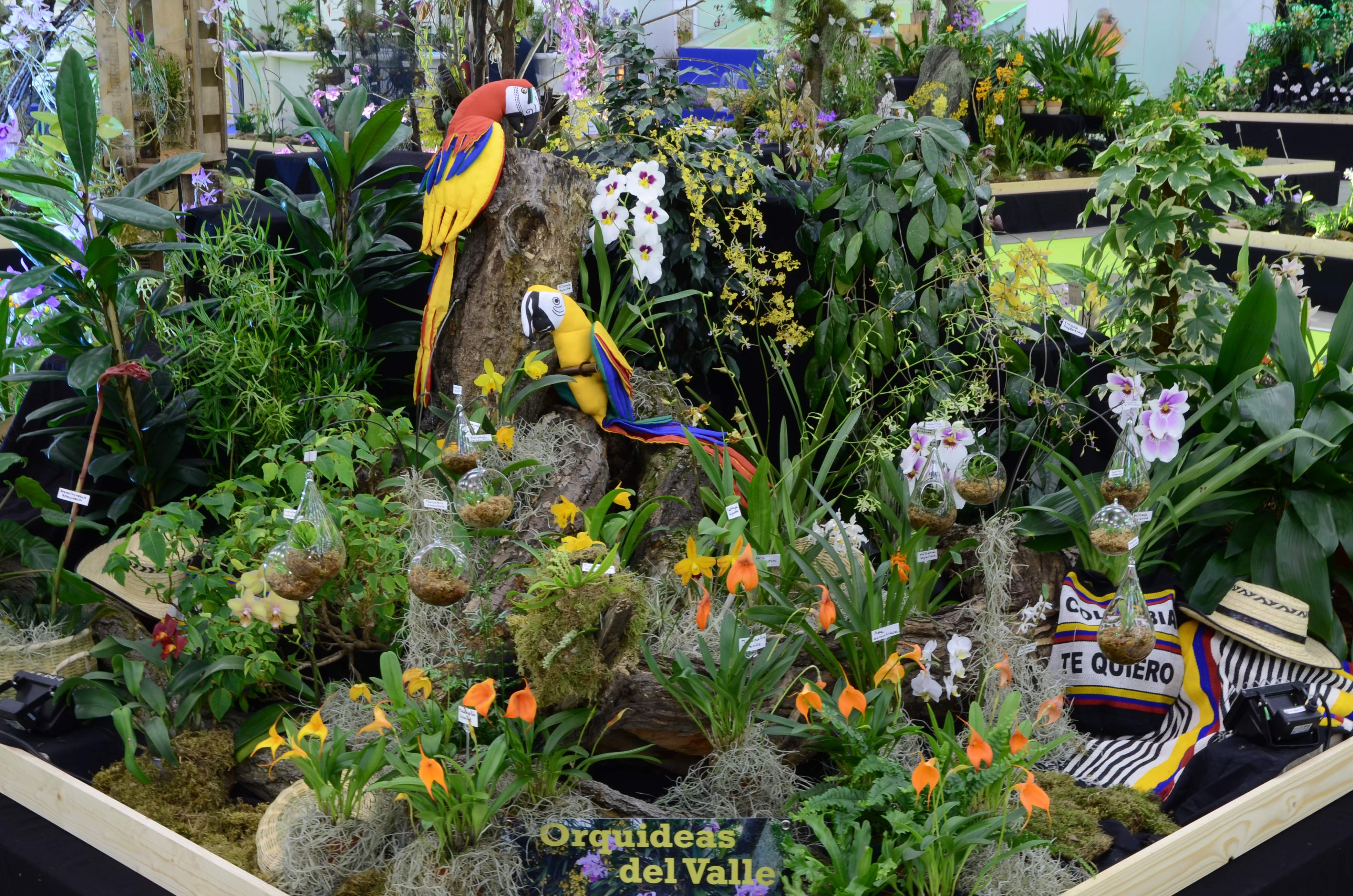 20190920183631_20190917213424_stand-von-orquideas-del-valle_21909720743_o.jpg